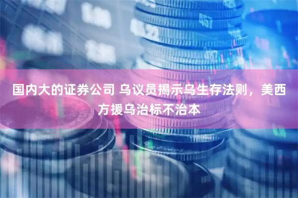 国内大的证券公司 乌议员揭示乌生存法则，美西方援乌治标不治本