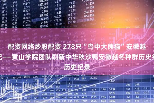 配资网络炒股配资 278只“鸟中大熊猫”安徽越冬记——黄山学院团队刷新中华秋沙鸭安徽越冬种群历史纪录