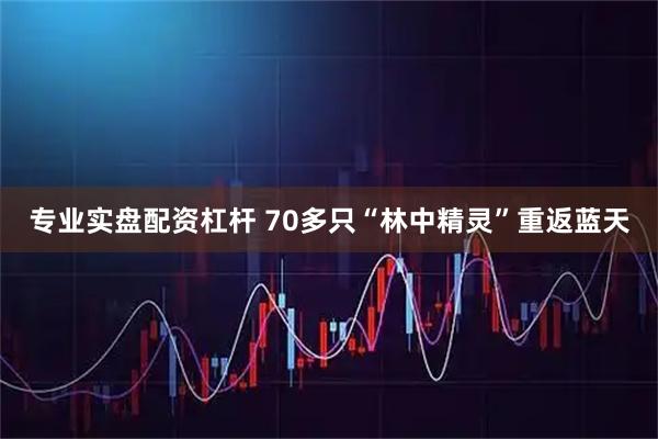 专业实盘配资杠杆 70多只“林中精灵”重返蓝天