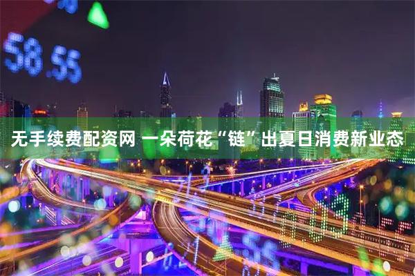 无手续费配资网 一朵荷花“链”出夏日消费新业态