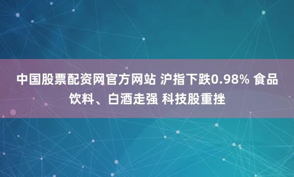 中国股票配资网官方网站 沪指下跌0.98% 食品饮料、白酒走强 科技股重挫